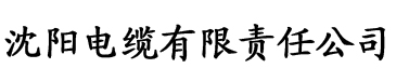 香蕉视频蓝奏云电缆厂logo